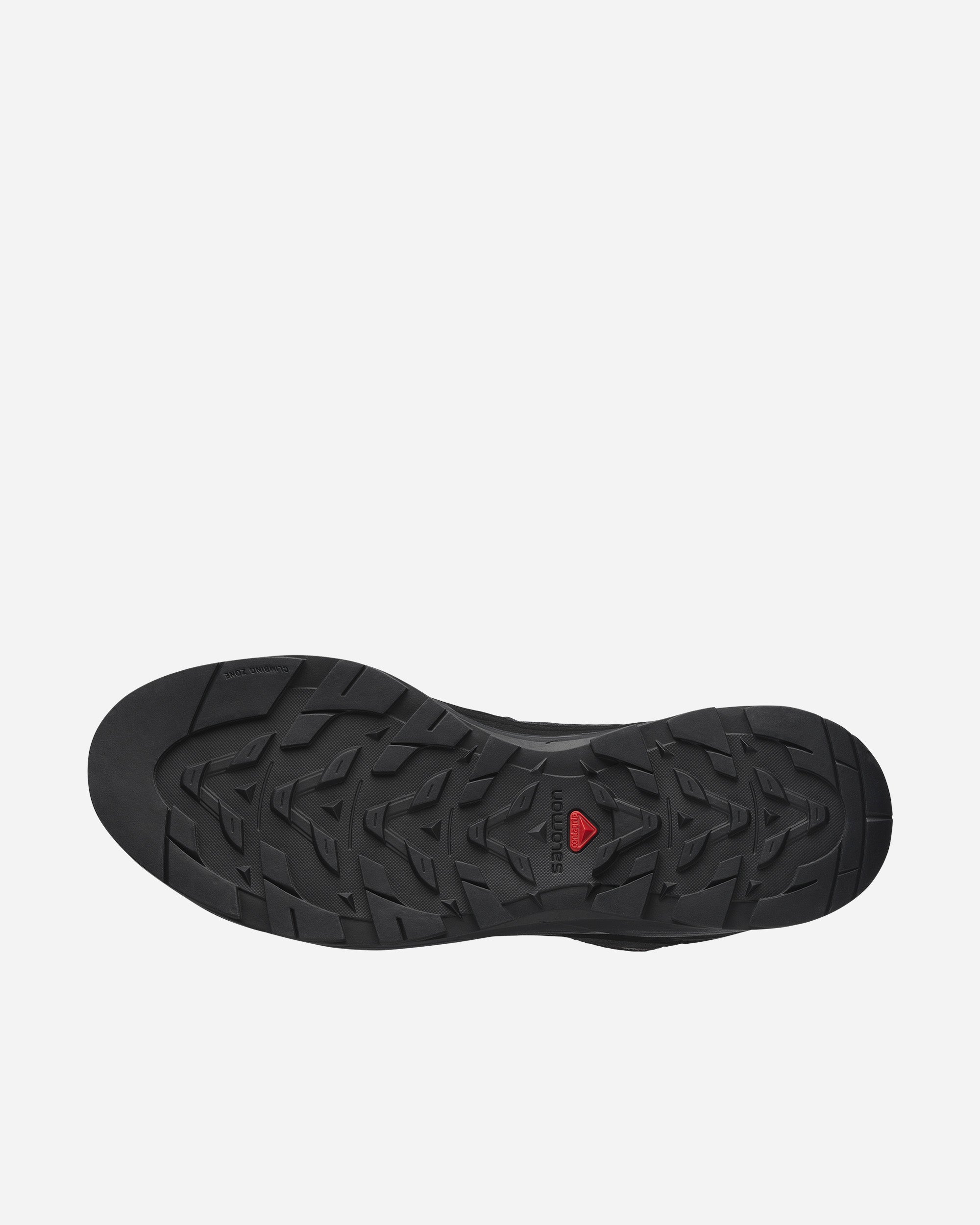 Salomon Salomon x Carhartt W.I.P X-ALP Black/Black/Black L49165500