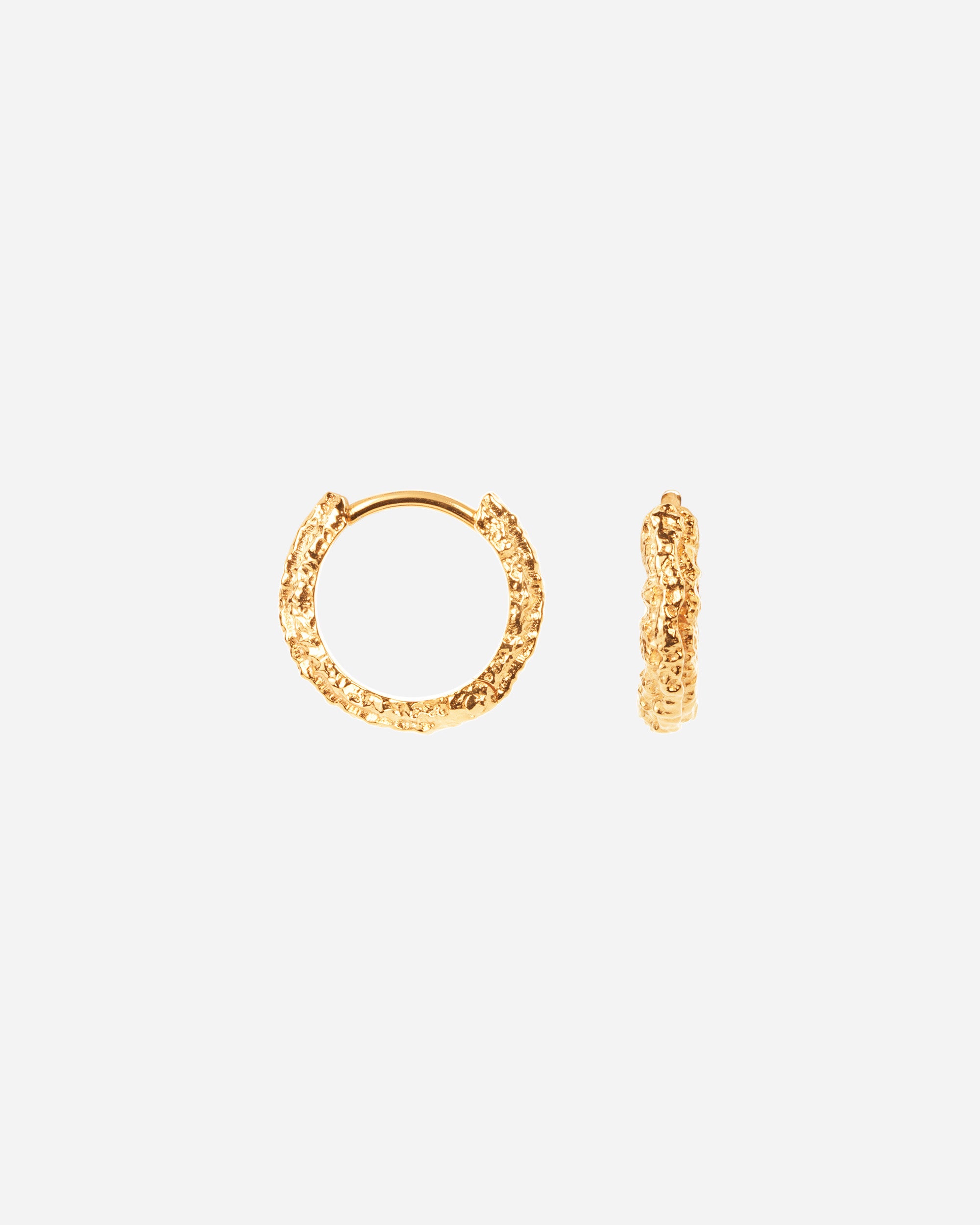 Small Sparkly Hoops